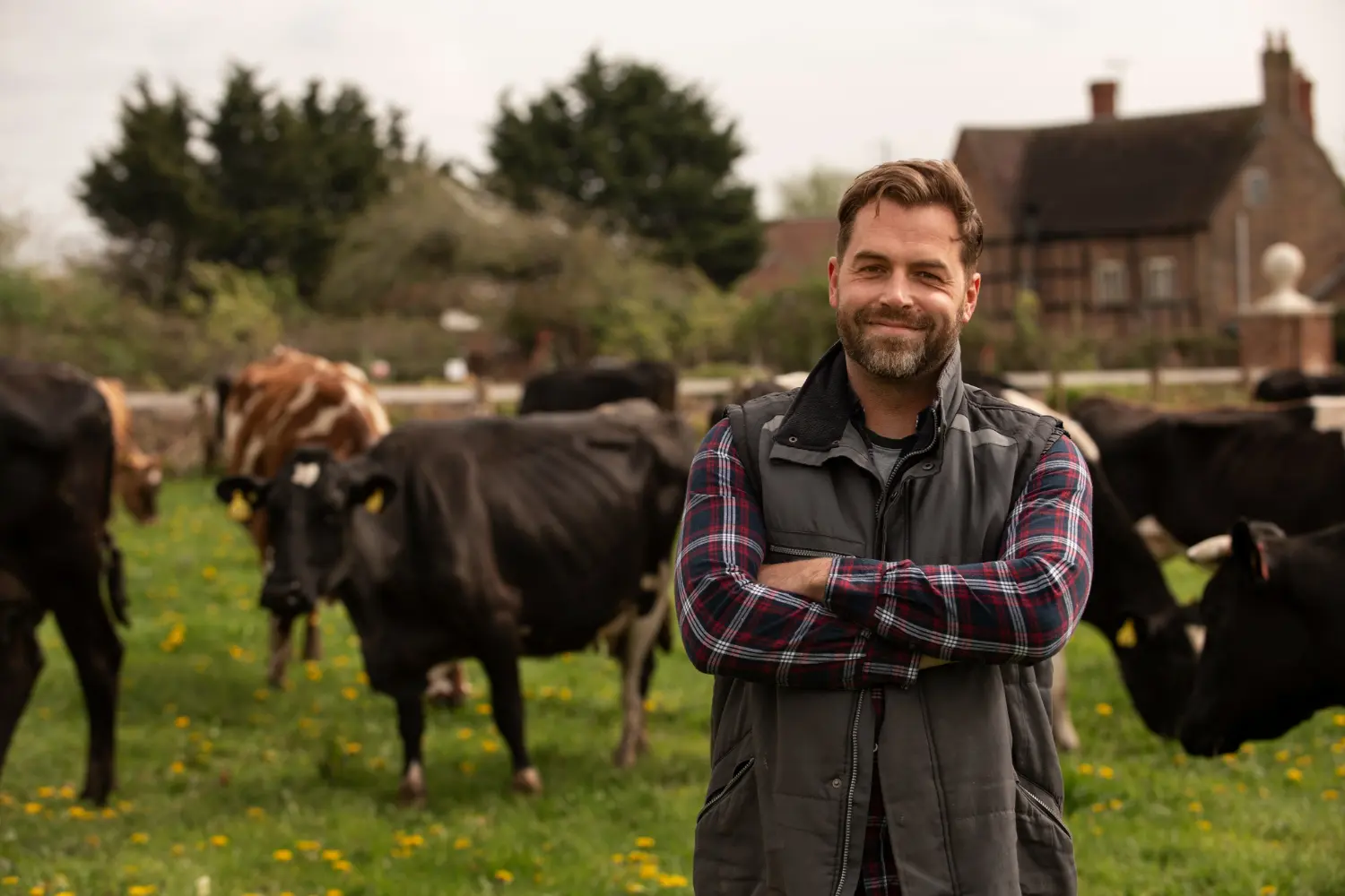 Cattle farmer standing in pasture with livestock for Australian tax deductions and compliance guide