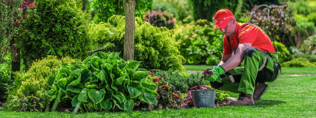 Gardener