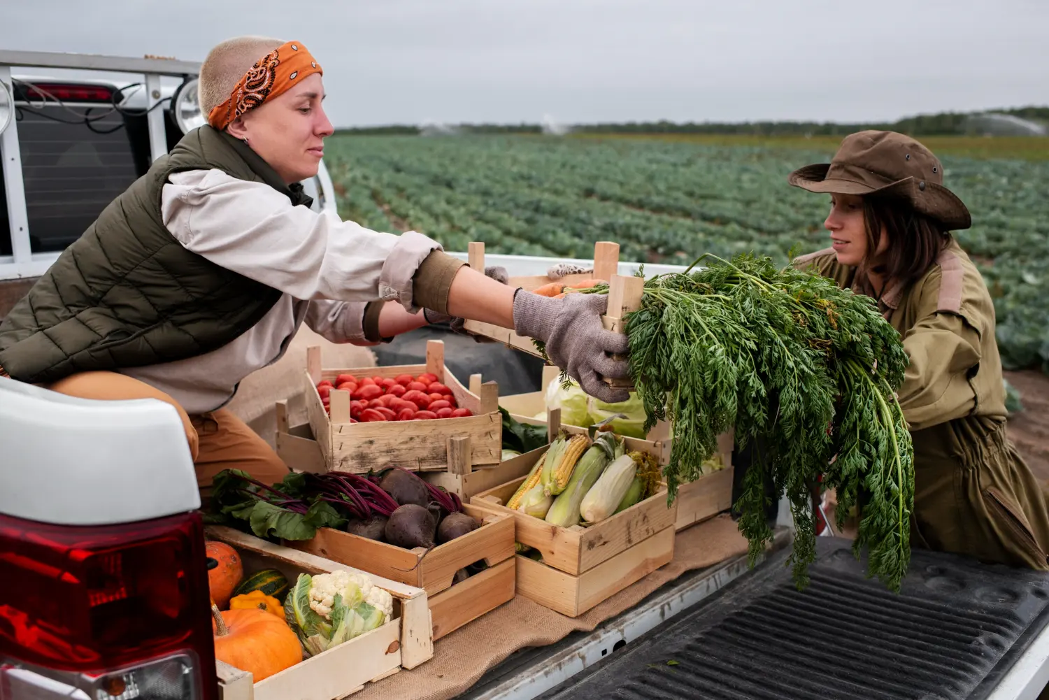 Fruit and vegetable picker sorting fresh produce at farm for Australian tax deductions and compliance