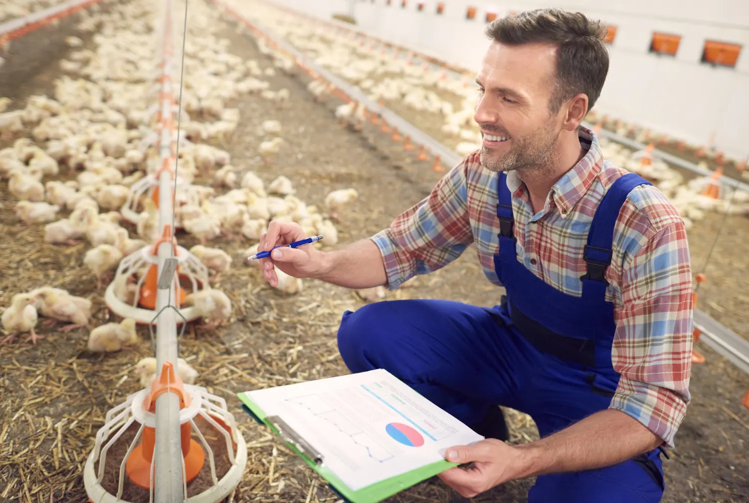 Poultry farm worker inspecting chickens in shed while recording expenses for Australian tax deductions