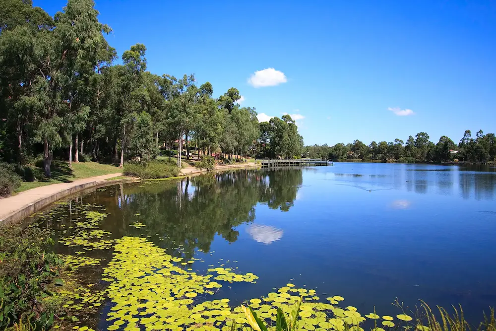 Accountants Direct Forest-lake